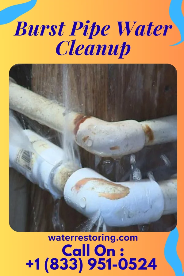 Burst Pipe Water Cleanup in Elk Grove Village, IL