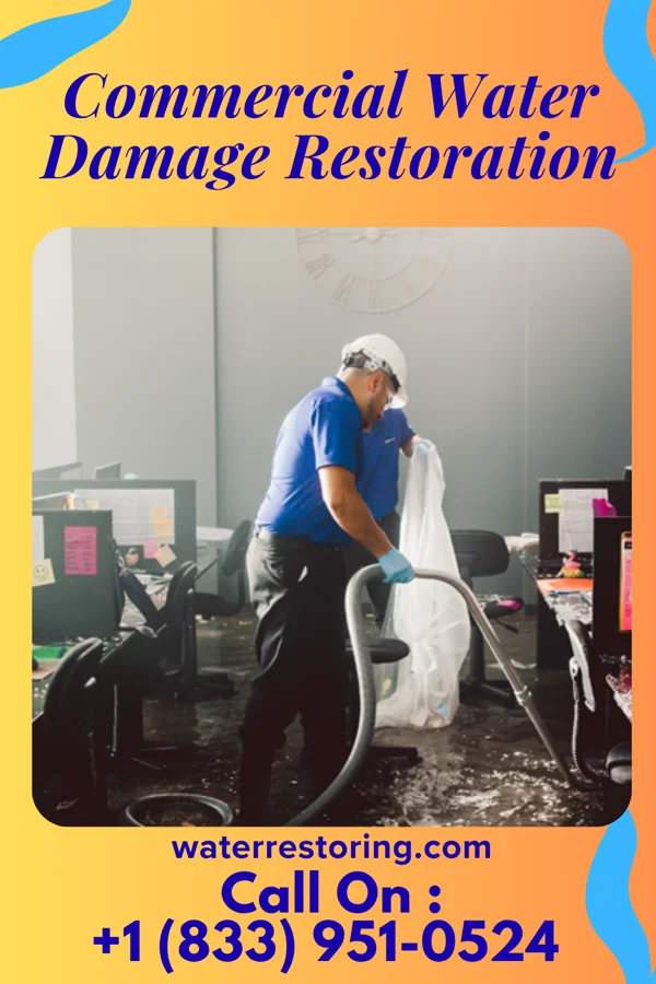 Commercial Water Damage Restoration in Elk Grove Village, IL