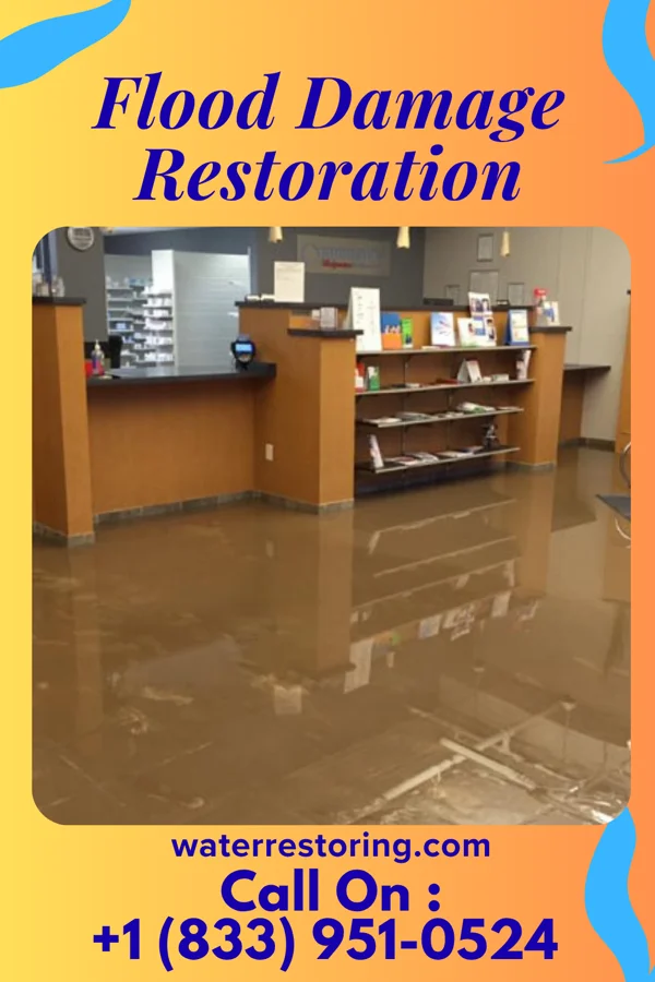 Flood Damage Restoration in Elk Grove Village, IL